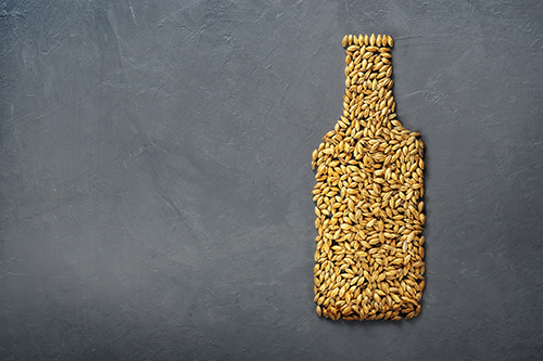 Grain Beer Recipes from Dave's Home Brew
